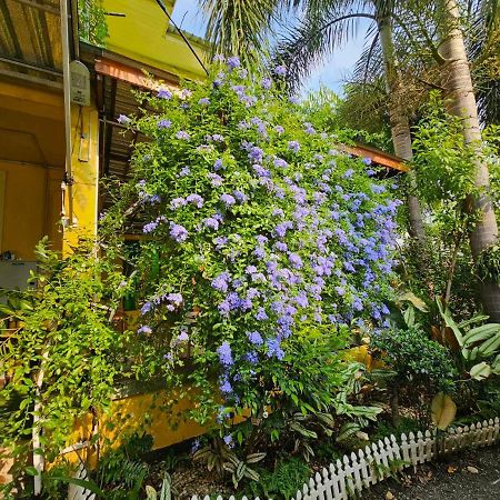 Suantung Coffee & Guesthouse Chiang Rai Exterior foto